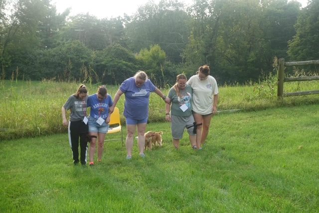 Field Day — photo 3