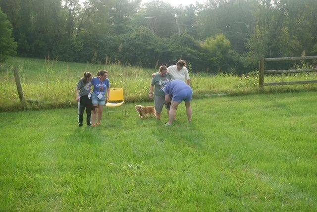 Field Day — photo 9