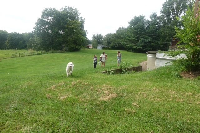 Field Day — photo 27
