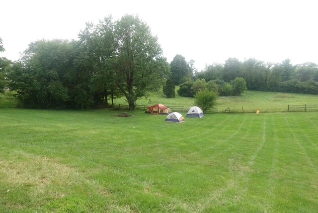 Field Day — photo 42