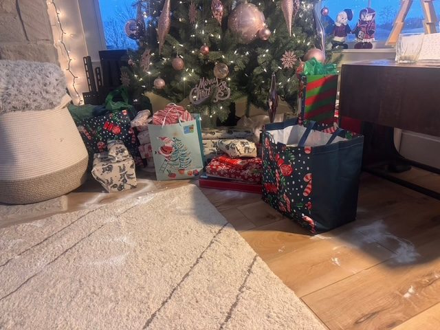 First Christmas at Powder Branch Farm — photo 2