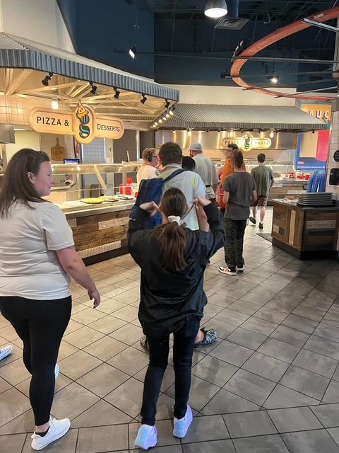 Gattitown — photo 18