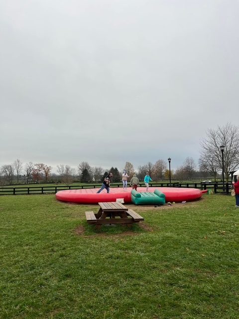 Pumpkin Patch — photo 2