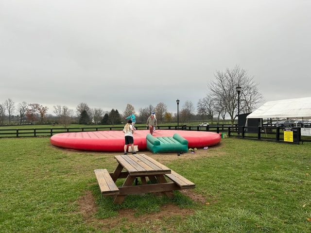 Pumpkin Patch — photo 11