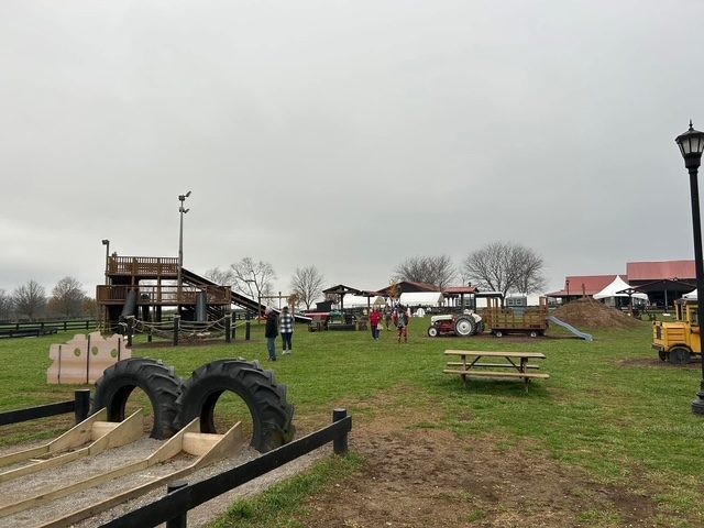 Pumpkin Patch — photo 19