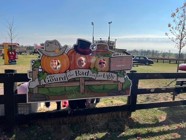 Pumpkin Patch — photo 6