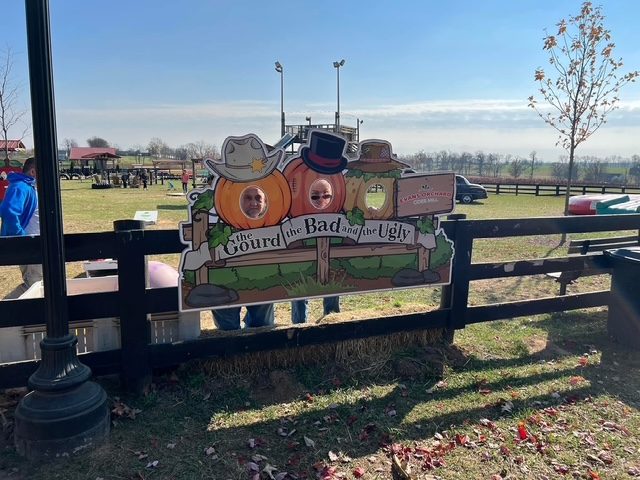 Pumpkin Patch — photo 30
